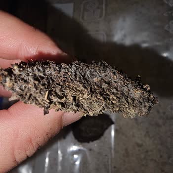 Çaykur Tiryaki Çayında Küf Ve Topaklanma Şoku!