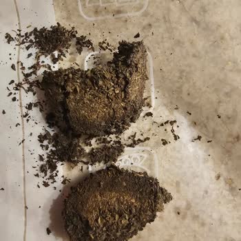 Çaykur Tiryaki Çayında Küf Ve Topaklanma Şoku!