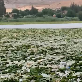 Tarım Ve Orman Bakanlığı Hatay Kırıkhan Adalar Gölü'nün İhmali Ve Yok Olma Tehlikesi!