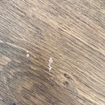 Tiny House Banyosunda Süregelen Su Sızıntısı Ve Çözüm Eksikliği