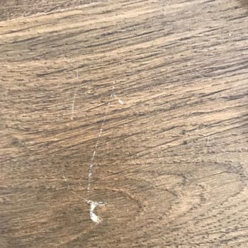 Tiny House Banyosunda Süregelen Su Sızıntısı Ve Çözüm Eksikliği