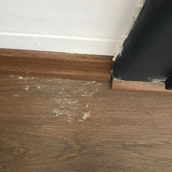 Tiny House Banyosunda Süregelen Su Sızıntısı Ve Çözüm Eksikliği