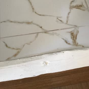 Tiny House Banyosunda Süregelen Su Sızıntısı Ve Çözüm Eksikliği