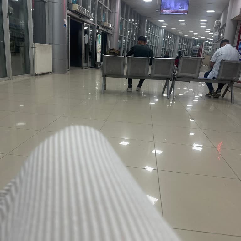 Otobüs Gecikmesi Nedeniyle Uçak Biletim Yandı, Mağduriyetimin Giderilmesini İstiyorum