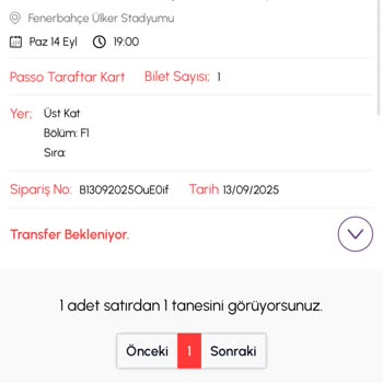 Satın Aldığım Bilet Teslim Edilmedi, İade Veya Transfer Talebim Cevapsız Kaldı