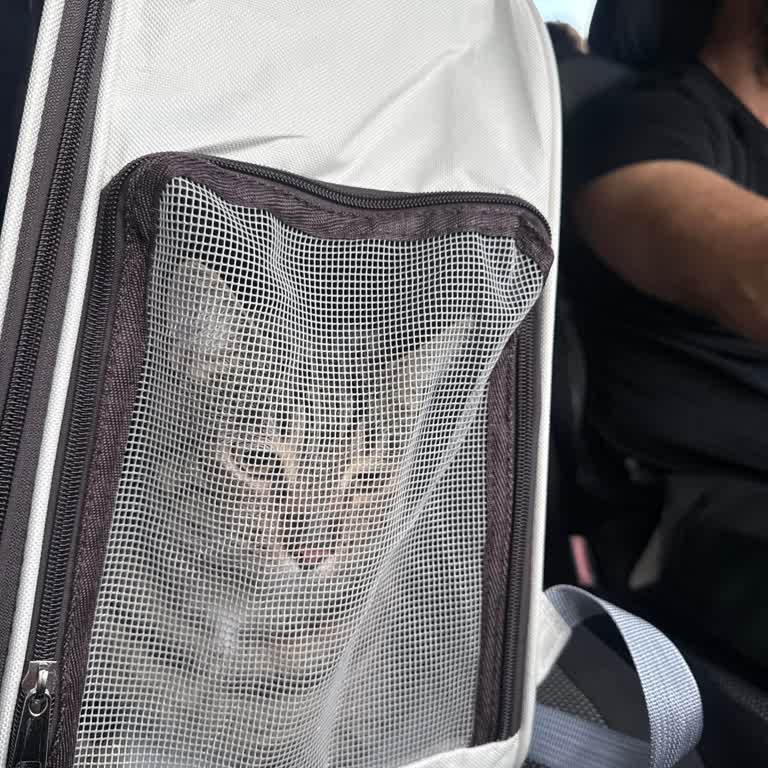 Köfteci Yusuf Evcil Hayvan Taşıma Çantasında Olmasına Rağmen Dış Alanda Oturmamıza İzin Verilmedi