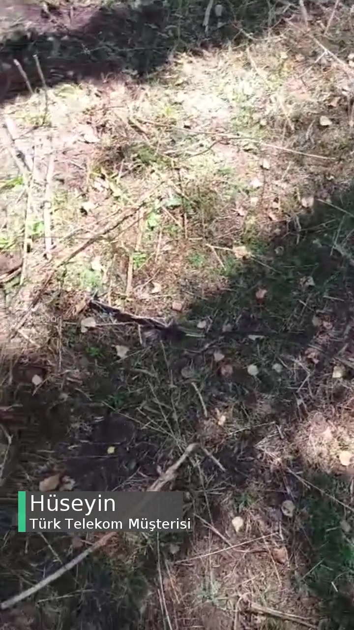 Türk Telekom Sabit Hat Bağlantısı Kopmuştur videonun kapak resmi