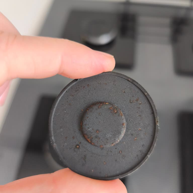 Bosch Ocakta Erken Boya Dökülmesi Ve Paslanma Hayal Kırıklığı