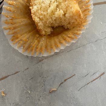 Paketli Ülker Magma Kekten Kurt Çıktı, Şaşkınlık Ve Mağduriyet Yaşadım