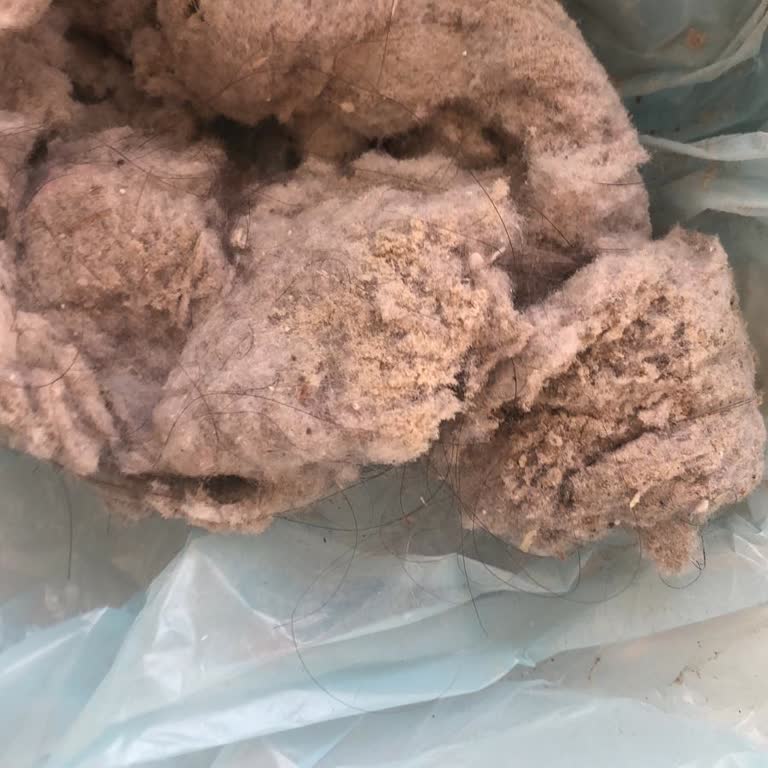 Yıkama Sonrası Halılarımda Sarı Tozlar Kaldı, Ücret İadesi İstiyorum