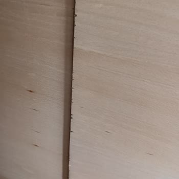 Çınar Mobilya Siparişim Hasarlı Ve Eksik Teslim Edildi Para İadem Yapılmıyor