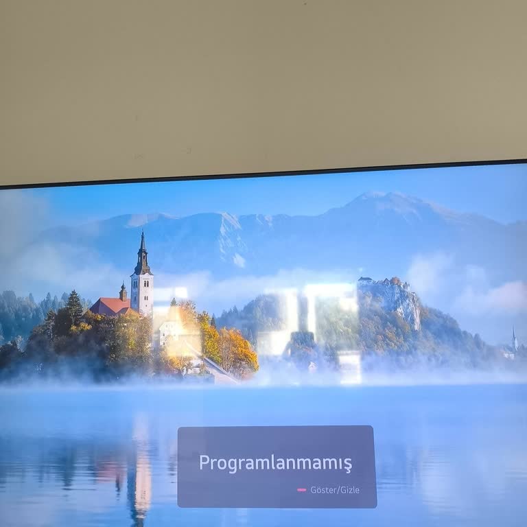 Yetkili Servisin İlgisizliği Ve Televizyonumda Sinyal Sorunu