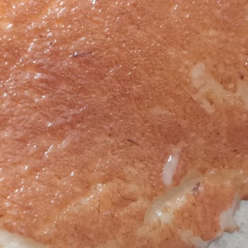 Kazandibi Tatlısında Hijyen Skandalı: Kıl Çıktı!