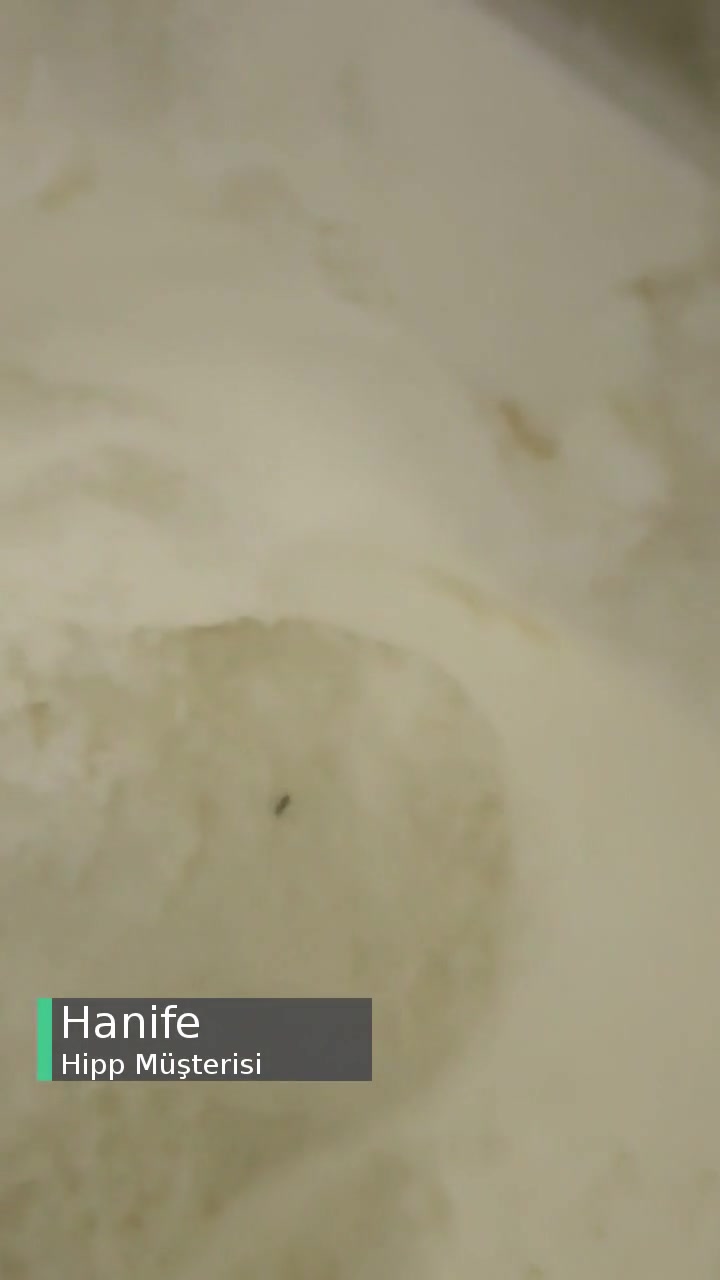 Hipp Mamada Böcek Çıktı videonun kapak resmi