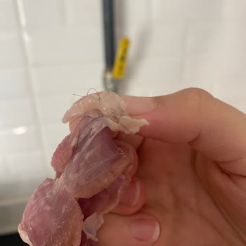 Kuzu Kuşbaşı Ette İnsan Kılı Şoku: Hijyen Ve Güven Sorunu