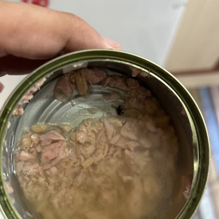 Satın Aldığım Ton Balığında Sinek Çıkması Nedeniyle Yaşadığım Rahatsızlık