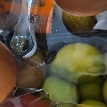 Sipariş Ettiğim Yumurtada Böcek Çıktı, Paramın İadesini İstiyorum