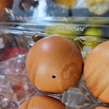 Sipariş Ettiğim Yumurtada Böcek Çıktı, Paramın İadesini İstiyorum