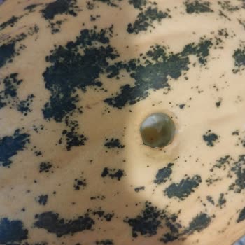 Migros Hemen'den Aldığım Kavunda Şüpheli Delik Ve Endişe