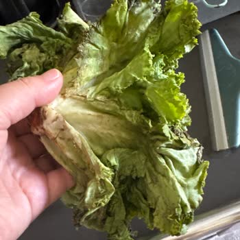 Çürük Ürün Teslimatı Ve Müşteri Hizmetlerinde İlgisizlik