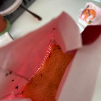 İrmik Ürününde Böcek Sorunu ve Tekrarlayan Kalite Problemi