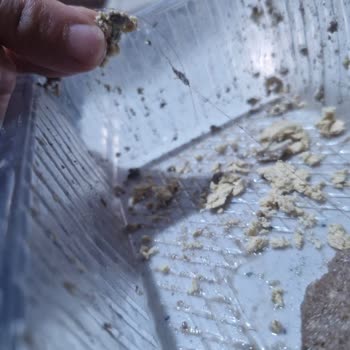 Torku Kakaolu Helvada Saç Çıkması Ve İade Talebi