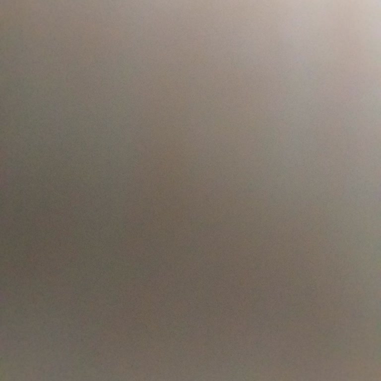 Çalışanın Zorlayıcı Yorum Talebi Ve Rahatsız Edici Davranışı