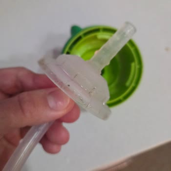 Philips Avent Ürünü Kısa Sürede Küflendi Ve Bebeğimin Sağlığı Tehlikeye Girdi