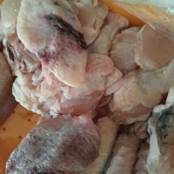 Donmuş Tavuk Kanadından Çıkan Yeşil Ve Siyah Renkli Parçalar Hijyen Endişesi