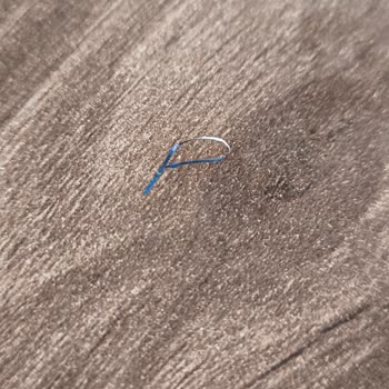 Derya Ton Balığı İçinden Plastik Parça Çıkması Ve Gıda Güvenliği Endişesi