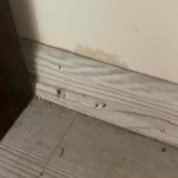My Ella Bodrum Otelinde Kötü Oda Koşulları Ve ETS Tur'un İlgisizliği