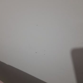 Philips Azur Ütü Tabanı Kolayca Kırıldı Hayal Kırıklığı Yaşadım