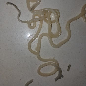 Nudo Sade Üründe Yabancı Maddeyle Karşılaşmam Güvenimi Sarstı