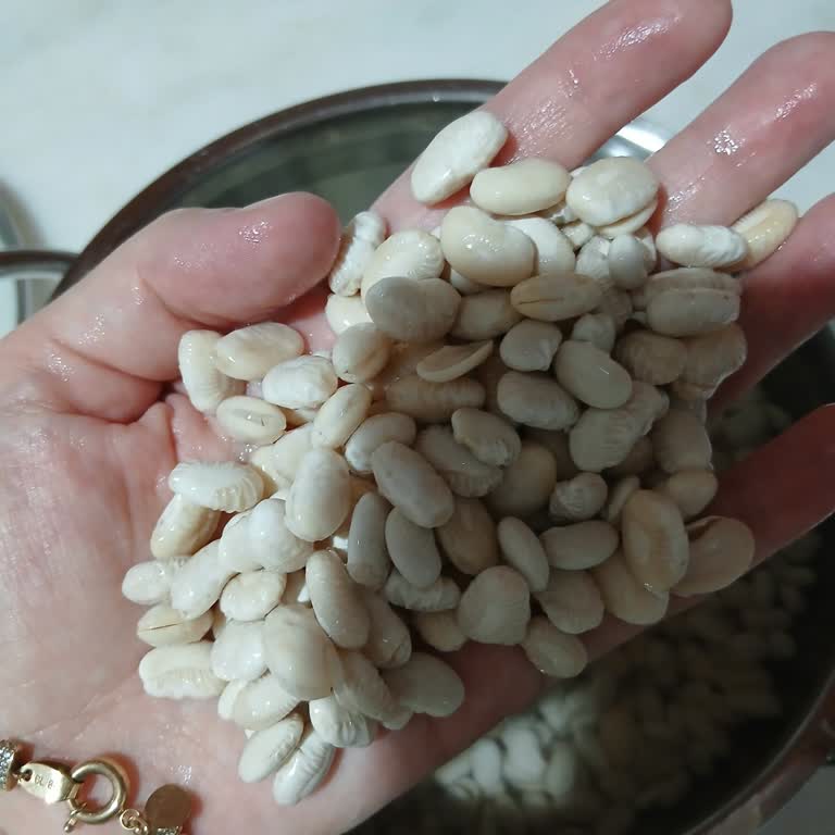 Aldığım Fasulyeler Parçalandı, Ürün Değişimi Ve Telafi İstiyorum