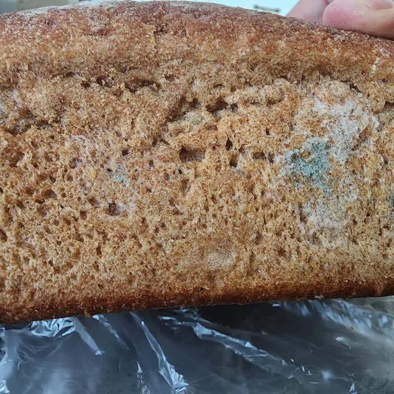 Bayat Ve Küflü Ekmek Teslimatıyla Yaşanan Büyük Hayal Kırıklığı