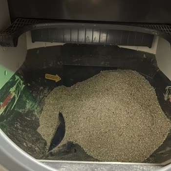 Neutron Akıllı Kedi Tuvaleti Kum Haznesinde Deformasyon