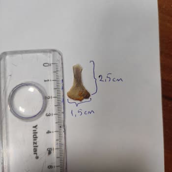 Tavuk Dönerde Kemik Çıktı, Yetkililerden Çözüm Yok