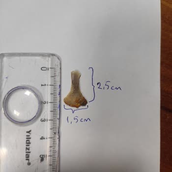 Tavuk Dönerde Kemik Çıktı, Yetkililerden Çözüm Yok