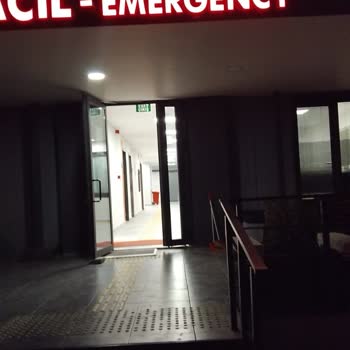 Yaralı Sokak Kedisine Yeterli Destek Sağlanmadı Ve Yüksek Ameliyat Ücreti Talep Edildi