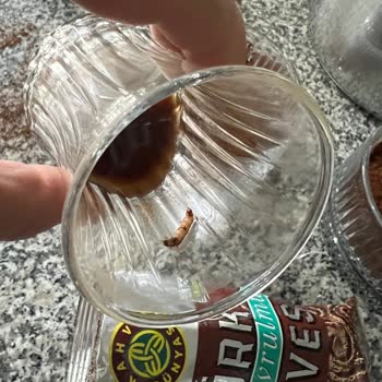 Aldığım Türk Kahvesinden Kurt Çıktı, Geri Dönüş Ve Telafi Bekliyorum