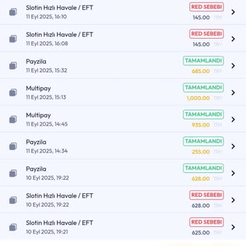 Slotin Hak Edilen Kayıp Bonusu Yüklenmedi