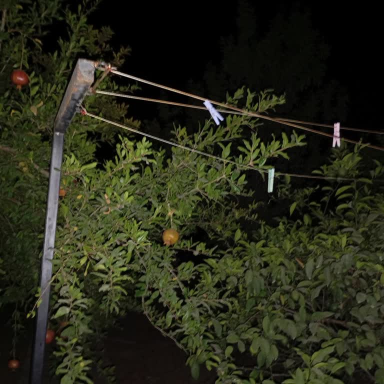 Datça İskele Mahallesi'nde Süregelen Elektrik Kesintileri Ve Çözüm Eksikliği