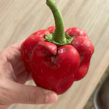 Migros Sanal Market’ten Gelen Bozuk Ürünler Ve İade Sorunu