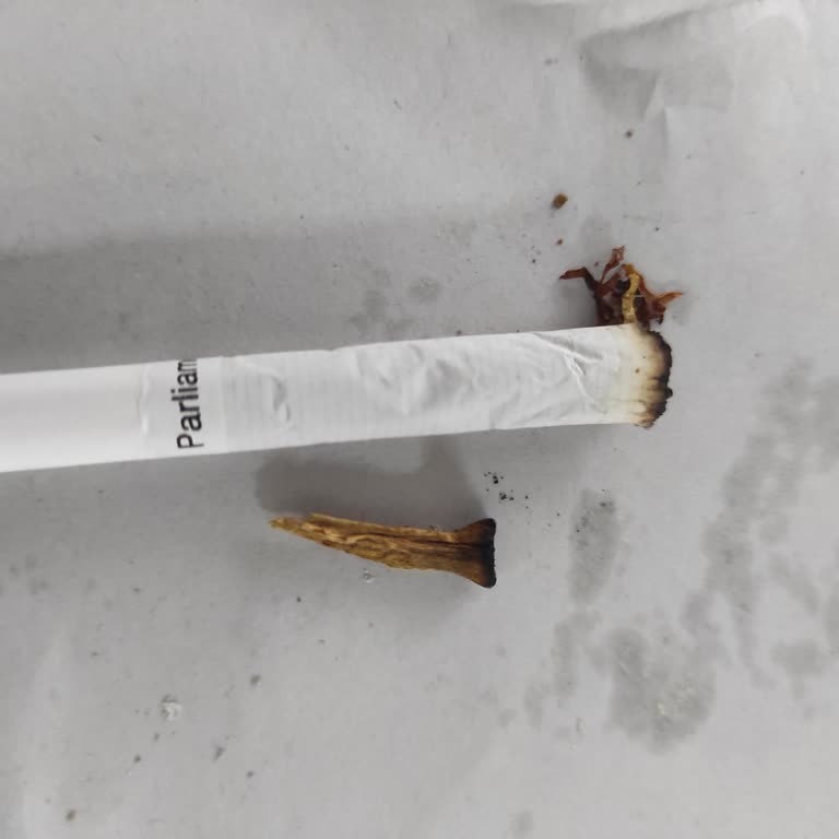 Parliament Night Blue'da Sürekli Kalite Sorunu Ve Mağduriyet