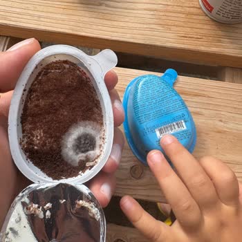 Küflü Ozmo Cool Egg Ürünleri Ve Cevapsız Kalan Şikayetim