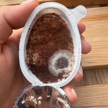 Küflü Ozmo Cool Egg Ürünleri Ve Cevapsız Kalan Şikayetim