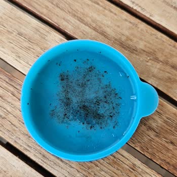 Paşabahçe Sürahi Kapağında Küflenme Ve Yedek Parça Bulamama Sorunu