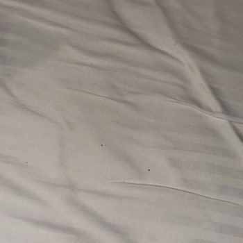 Hijyen Sorunları Nedeniyle Konaklama Ücretimin İadesini İstiyorum