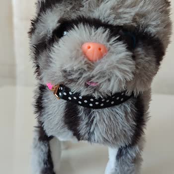 Yanlış Ürün Teslimatı Ve Yetersiz Müşteri Desteği Nedeniyle Mağduriyet