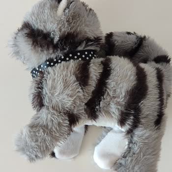 Yanlış Ürün Teslimatı Ve Yetersiz Müşteri Desteği Nedeniyle Mağduriyet